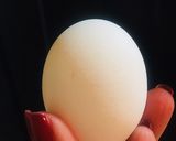 Foto del passaggio 1 della ricetta Polpetta a sorpresa 😮