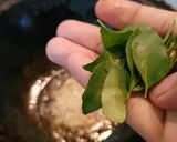 A picture of step 4 of Spicy Brinjal Masala.