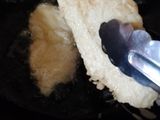 Pisang goreng kopong isi Fla Keju