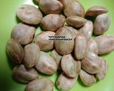 Foto langkah ke 1 dari resep Nasi Petai Herbal.