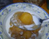 Foto langkah ke 6 dari resep Kolak Biji Salak Tape.
