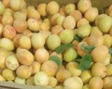 عکس مرحله 1 از دستور لواشک زردآلو