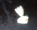 Foto del paso 2 de la receta: Guiso de lentejas con fideos (fácil y económico)