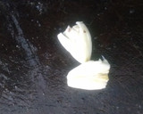 Foto del paso 2 de la receta: Guiso de lentejas con fideos (fácil y económico)