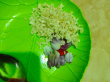 Tumis kangkung tauge pedas manis (cocok untuk diet)