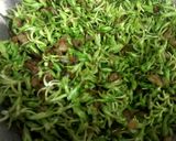 A picture of step 2 of Monsoon flower sabji.