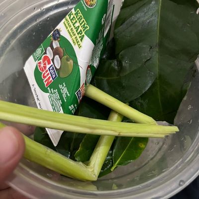 Langkah 3