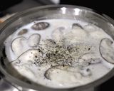 蘑菇濃湯(十分鐘完成)的食譜步驟6照片