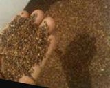صورة لخطوة 4 من وصفة قهوة السمسم على طريقه اهل يافع