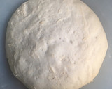 Foto del paso 2 de la receta: Masa de pizza con amasadora eléctrica