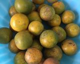 รูปขั้นตอนการทำที่ 1 ของ “น้ำส้มสด”