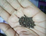 A picture of step 4 of Mix Vegetable.