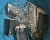 Foto langkah ke 1 dari resep Mangut Ikan Lele (Menu Bocil).