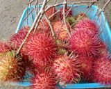 Foto langkah ke 1 dari resep 78. Asinan rambutan.