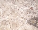 A picture of step 6 of Sweetened coconut flakes.