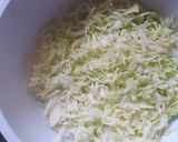 Foto del paso 2 de la receta: Ensalada de col y zanahoria