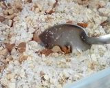 Foto del paso 2 de la receta: Barras de cereal con avena y coco