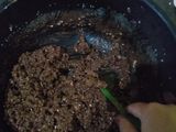 Kue kacang karang