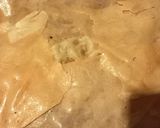 Foto del paso 8 de la receta: Pastel de papa con carne y salsa blanca