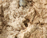 Foto del paso 2 de la receta: Bizcochuelo de lentejas y chocolate