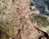 Foto langkah ke 5 dari resep Nasi Merah Kebuli Daging Sapi simpel.