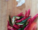 Foto langkah ke 3 dari resep Ikan kuah santan cabe ijo.