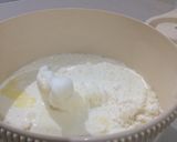 Foto langkah ke 1 dari resep Ice cream 3 bahan.