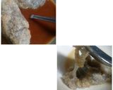 Foto langkah ke 7 dari resep Pempek cibay,metode all in one (tanpa tekhnik bentuk).