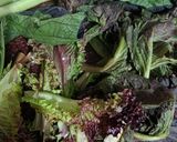 A picture of step 1 of Lettuce Salad 🥬🥗.