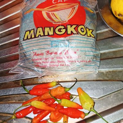 Langkah 4