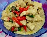 Foto langkah ke 4 dari resep Lodeh Tahu Tempe.