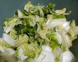 Foto langkah ke 2 dari resep Fresh Kimchi Bahan Lokal.