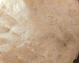 A picture of step 1 of Donut patties.