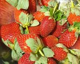 A picture of step 1 of Strawberry Spread.