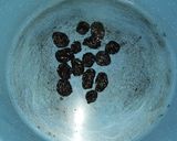 Foto del paso 8 de la receta: Mole de mi pueblo