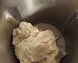Foto del paso 2 de la receta: Nevaditos en Mambo (2 receta)