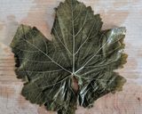 A picture of step 3 of Stuffed vine leave rolls.