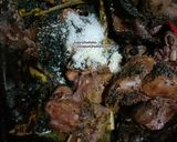 Foto langkah ke 4 dari resep Ati Ampela Masak Kluwak.
