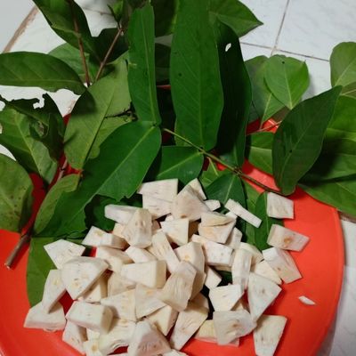 Langkah 1