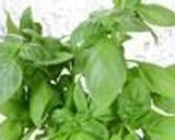 Foto del paso 1 de la receta: Tallarines al Pesto Peruano