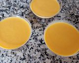 Foto del paso 1 de la receta: Mousse de 🥭 mango