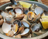 Foto del paso 6 de la receta: Berberechos a la plancha