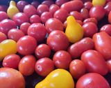 Foto del paso 1 de la receta: Cherrys confitados
