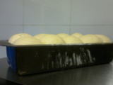 Masa de Brioche basica para panes diarios