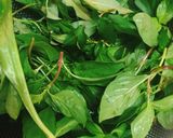 Hình bước làm 2 của món Bún Bò Chay
