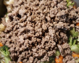 A picture of step 4 of Beef and Veggies.