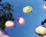 A picture of step 4 of Zobo.