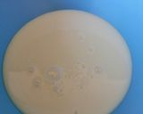 Foto del paso 4 de la receta: Quesillo canario