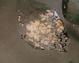 A picture of step 5 of Mirchi Masala.