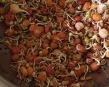 A picture of step 1 of Corn and sprout salad.